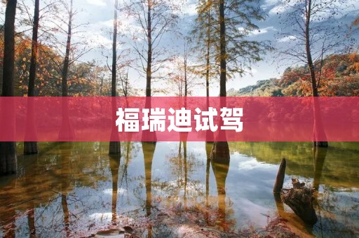 福瑞迪试驾：突破创新的驾驶体验