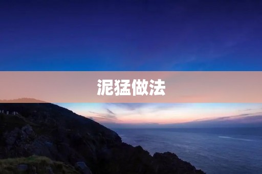 泥猛做法:探索创新的道路 泥猛做法:探索创新的道路