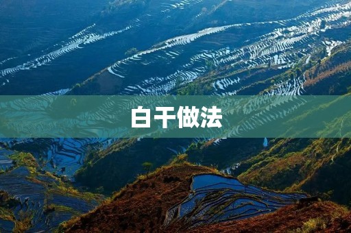 白干做法：传统工艺的珍贵传承