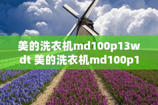 美的洗衣机md100p13wdt 美的洗衣机md100p13wdt产品介绍 美的洗衣机md100p13wdt 美的洗衣机md100p13wdt产品介绍