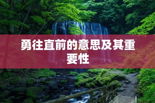 勇往直前的意思及其重要性