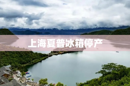 上海夏普冰箱停产:回顾历史,解析原因及影响 上海夏普冰箱停产:回顾历史,解析原因及影响