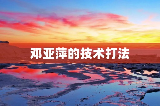 邓亚萍的技术打法