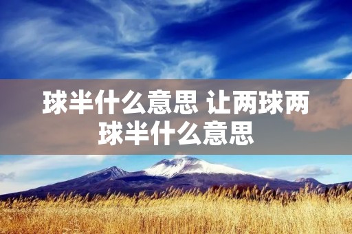 球半什么意思 让两球两球半什么意思 球半什么意思 让两球两球半什么意思