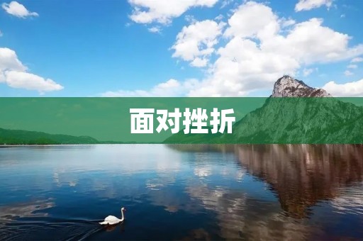 面对挫折：坚持与成长之路