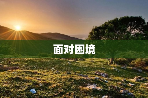 面对困境:坚持与奋斗的力量