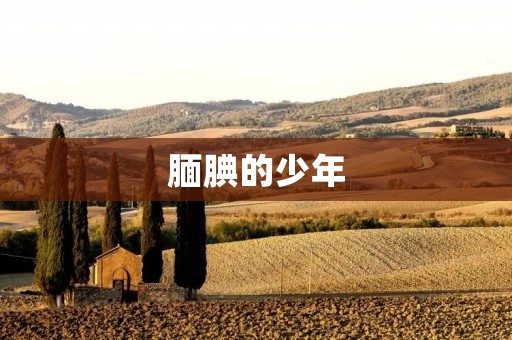腼腆的少年：内心的战斗