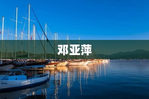 邓亚萍:中国乒乓球传奇 邓亚萍:中国乒乓球传奇