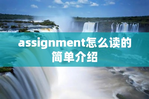 assignment怎么读的简单介绍