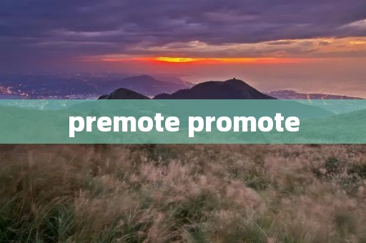 premote promote premote promote