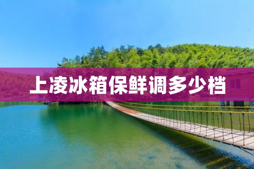 上凌冰箱保鲜调多少档:保鲜技巧全解析 上凌冰箱保鲜调多少档:保鲜技巧全解析