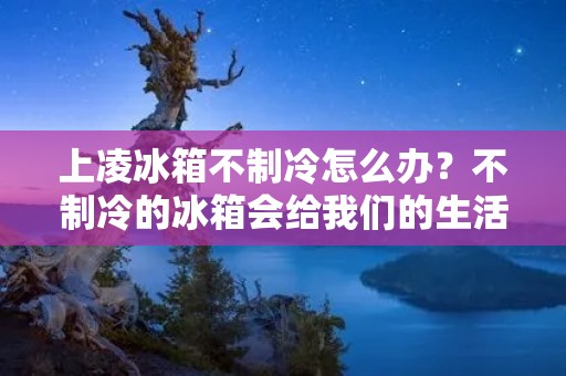 上凌冰箱不制冷怎么办？不制冷的冰箱会给我们的生活带来很多不便，因此解决这个问题变得尤为重要。下面将针对上凌冰箱不制冷的常见原因和相应的解决方法进行详细介绍，帮助您迅速解决这一问题。