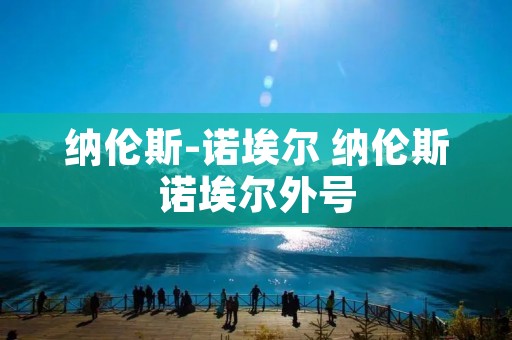 纳伦斯-诺埃尔 纳伦斯诺埃尔外号 纳伦斯-诺埃尔 纳伦斯诺埃尔外号