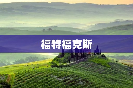 福特福克斯:传承经典,驭动未来 福特福克斯:传承经典,驭动未来