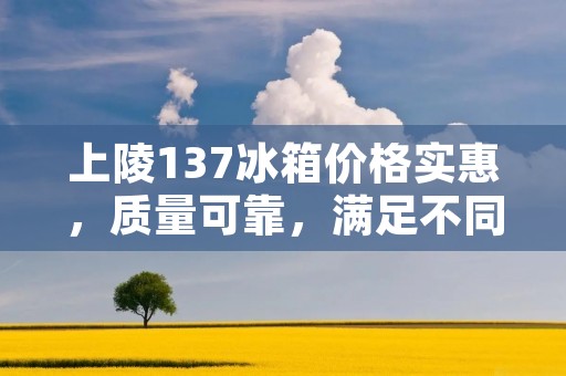上陵137冰箱价格实惠，质量可靠，满足不同家庭需求