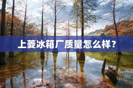 上菱冰箱厂质量怎么样？