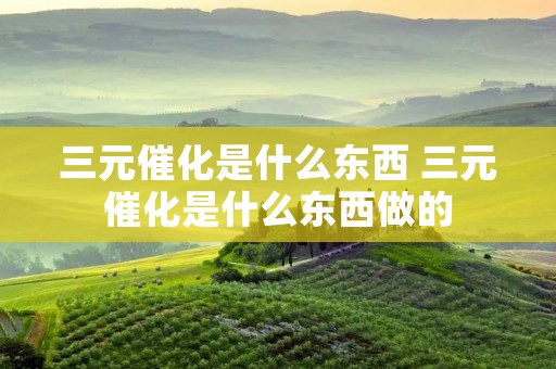 三元催化是什么东西 三元催化是什么东西做的