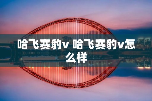 哈飞赛豹v 哈飞赛豹v怎么样 哈飞赛豹v 哈飞赛豹v怎么样