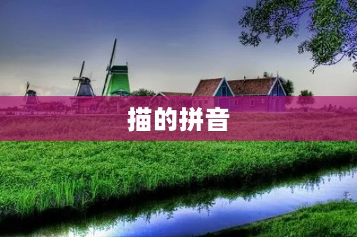 描的拼音