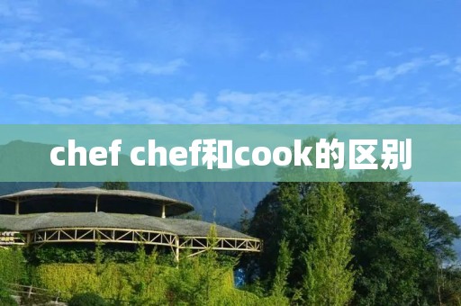 chef chef和cook的区别