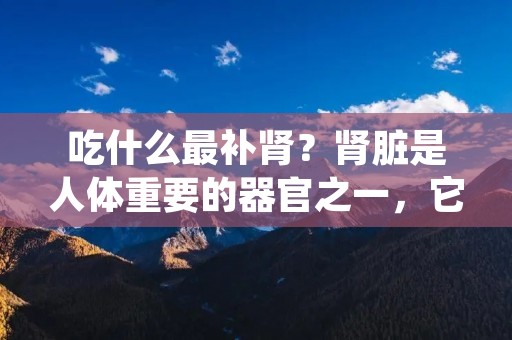 吃什么最补肾？肾脏是人体重要的器官之一，它不仅负责排泄废物和调节电解质平衡，还参与调节血压和产生激素等重要功能。而肾脏的健康与我们的整体健康密切相关。那么，我们应该如何通过饮食来补充肾脏所需的营养呢？