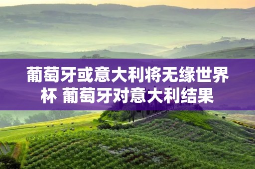 葡萄牙或意大利将无缘世界杯 葡萄牙对意大利结果