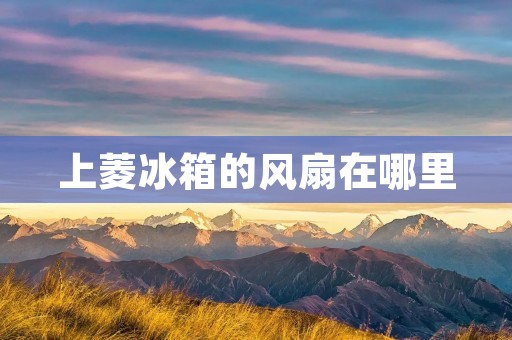 上菱冰箱的风扇在哪里