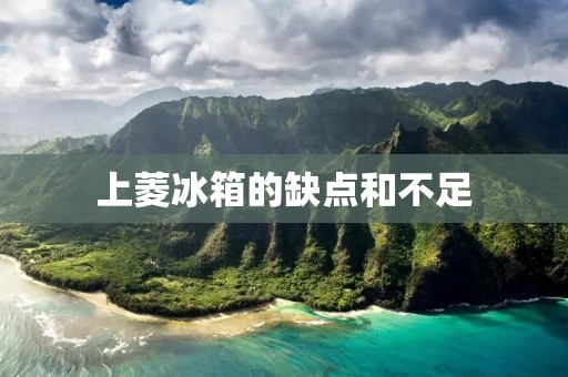 上菱冰箱的缺点和不足