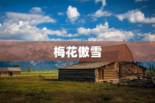 梅花傲雪:寒冬中的芳香
