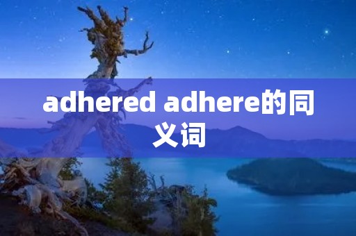 adhered adhere的同义词