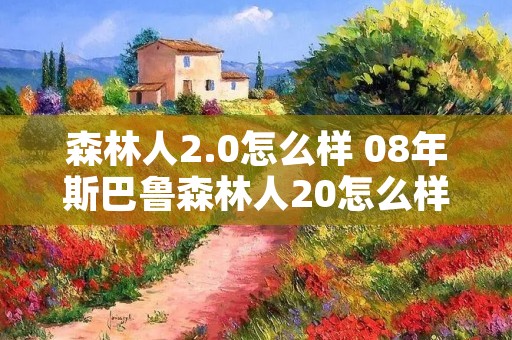 森林人2.0怎么样 08年斯巴鲁森林人20怎么样