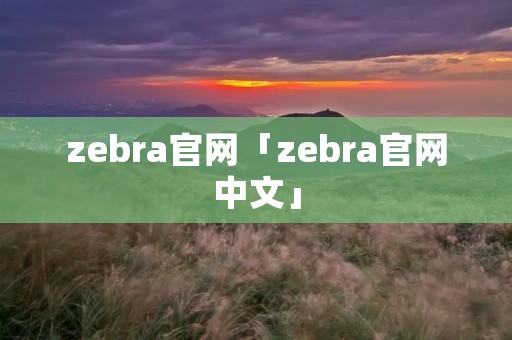 zebra官网「zebra官网中文」 zebra官网「zebra官网中文」