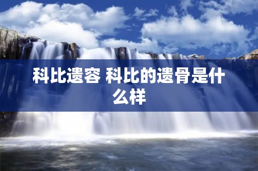 科比遗容 科比的遗骨是什么样 科比遗容 科比的遗骨是什么样
