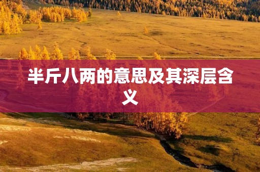 半斤八两的意思及其深层含义