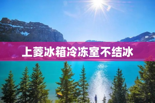 上菱冰箱冷冻室不结冰:原因与解决方法 上菱冰箱冷冻室不结冰:原因与解决方法