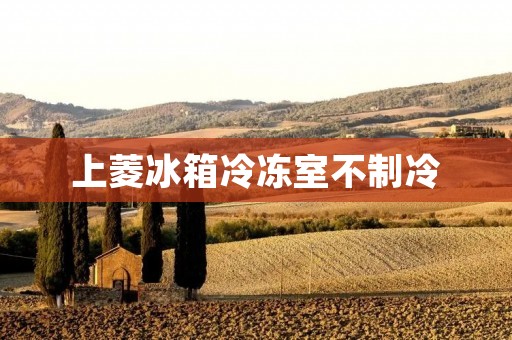 上菱冰箱冷冻室不制冷：原因分析与解决方法
