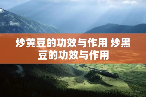 炒黄豆的功效与作用 炒黑豆的功效与作用 炒黄豆的功效与作用 炒黑豆的功效与作用