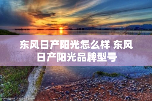 东风日产阳光怎么样 东风日产阳光品牌型号