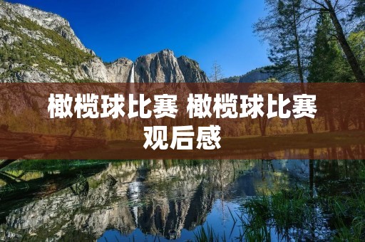 橄榄球比赛 橄榄球比赛观后感 橄榄球比赛 橄榄球比赛观后感