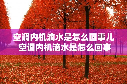 空调内机滴水是怎么回事儿 空调内机滴水是怎么回事儿视频 空调内机滴水是怎么回事儿 空调内机滴水是怎么回事儿视频