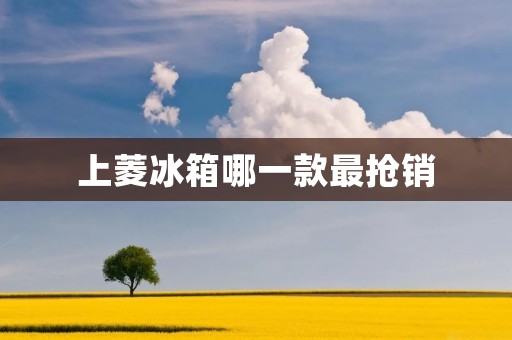 上菱冰箱哪一款最抢销 上菱冰箱哪一款最抢销