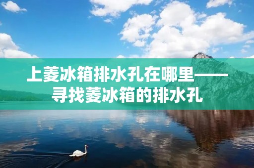 上菱冰箱排水孔在哪里——寻找菱冰箱的排水孔 上菱冰箱排水孔在哪里——寻找菱冰箱的排水孔