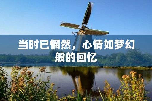 当时已惘然,心情如梦幻般的回忆