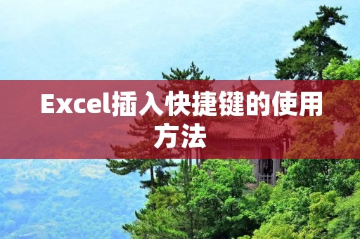 Excel插入快捷键的使用方法