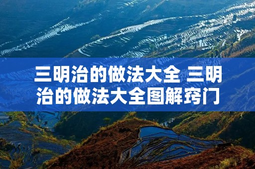 三明治的做法大全 三明治的做法大全图解窍门