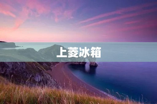 上菱冰箱：上海制造的品质保证