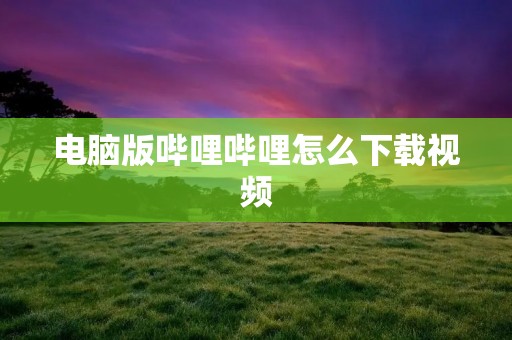 电脑版哔哩哔哩怎么下载视频