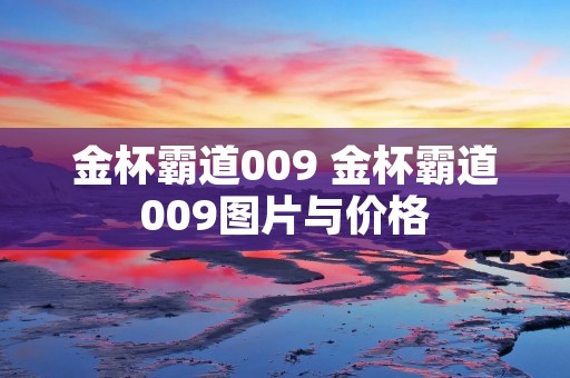 金杯霸道009 金杯霸道009图片与价格 金杯霸道009 金杯霸道009图片与价格
