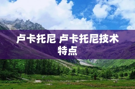 卢卡托尼 卢卡托尼技术特点 卢卡托尼 卢卡托尼技术特点