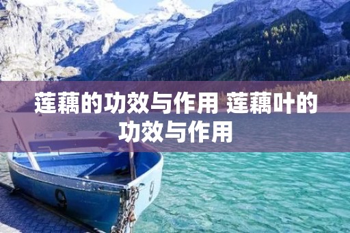 莲藕的功效与作用 莲藕叶的功效与作用